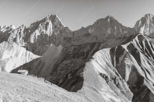 Bergschafe an der Erinnerungshütte mit Oberreintalschrofen und Scharnitzspitze im Wettersteingebirge - Scharnitzjoch - Seitenverhältnis 3:2 - Schafe mit Erinnerungshütte im Wetterstein - weitere Infos unter https://www.kriner-weiermann.de