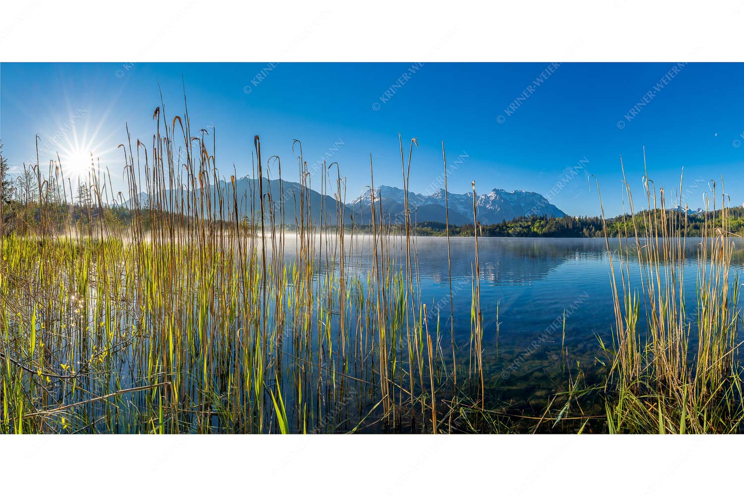 Blick übern Barmsee zum Karwendelgebirge - Schilf am See - Seitenverhältnis 2:1 - Barmsee mit Karwendel - weitere Infos unter https://www.kriner-weiermann.de