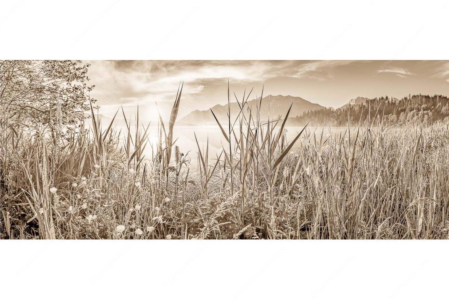 Sonnenaufgang am Barmsee