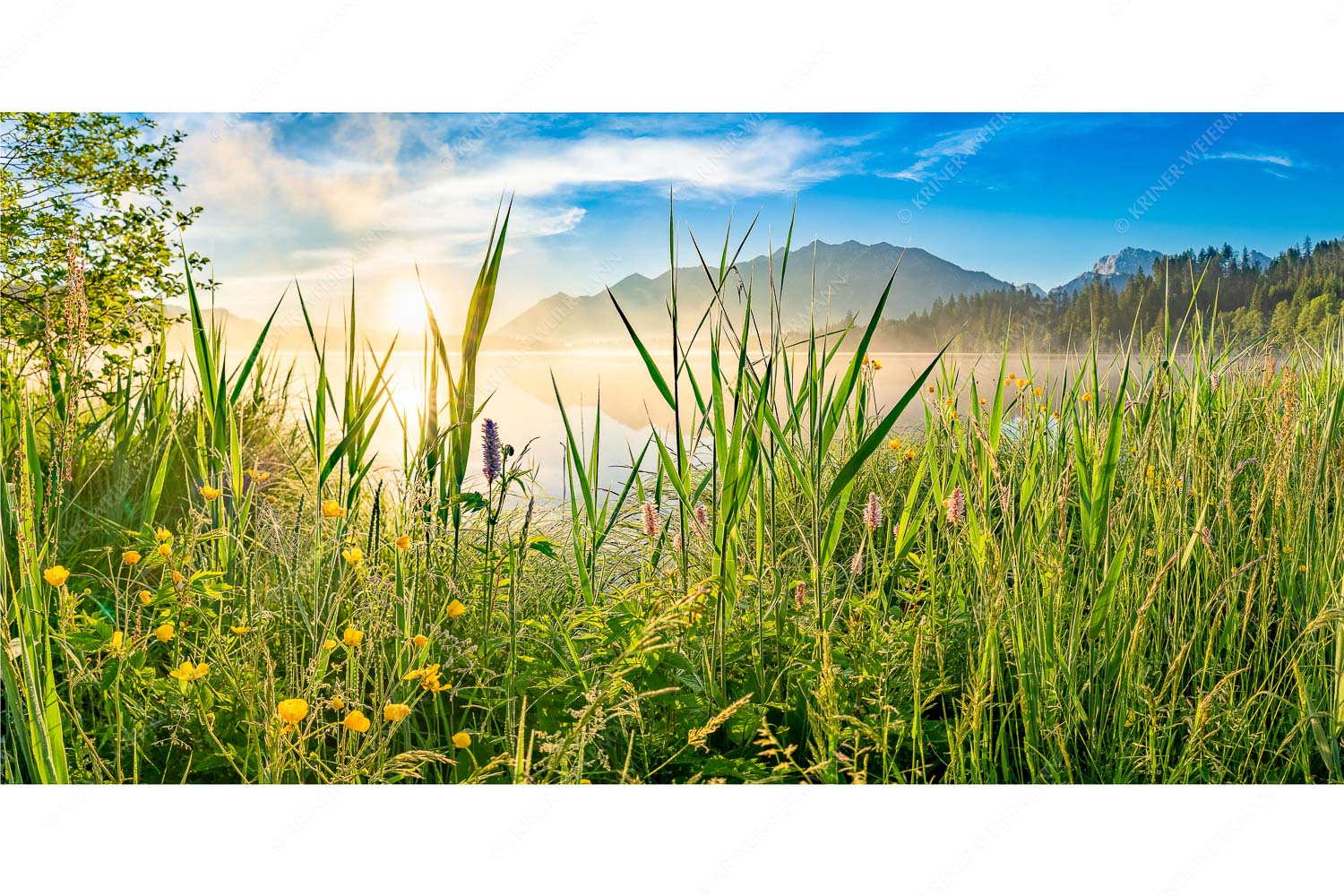 Sonnenaufgang am Barmsee