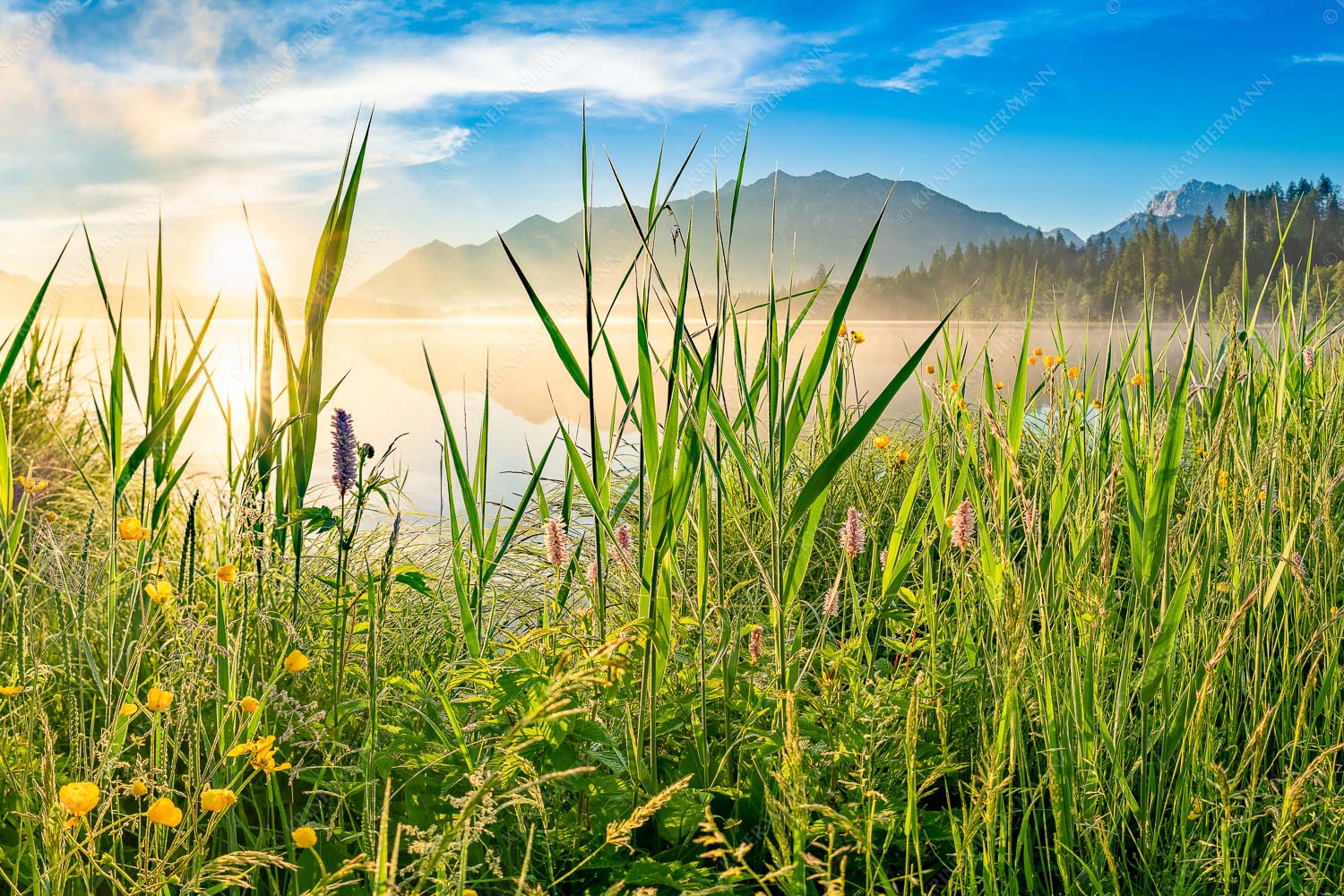 Sonnenaufgang am Barmsee