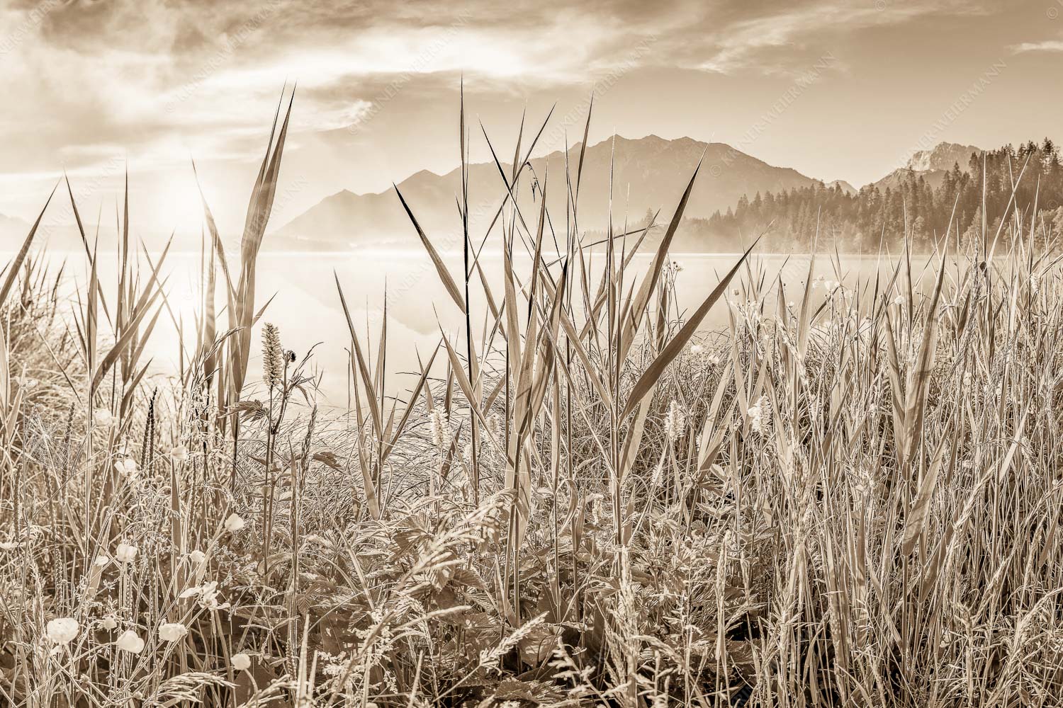 Sonnenaufgang am Barmsee