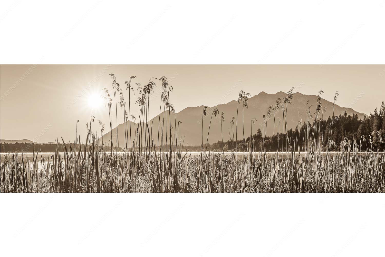 Sonnenaufgang am Barmsee - Schilfufer - Seitenverhältnis 3:1 - Barmseeufer mit Soierngebirge - weitere Infos unter https://www.kriner-weiermann.de