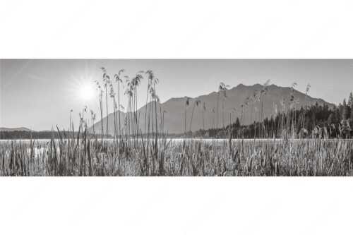 Sonnenaufgang am Barmsee - Schilfufer - Seitenverhältnis 3:1 - Barmseeufer mit Soierngebirge - weitere Infos unter https://www.kriner-weiermann.de