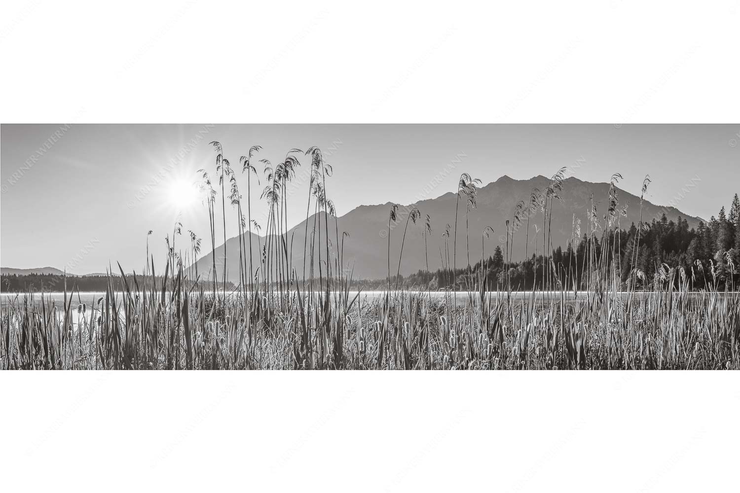 Sonnenaufgang am Barmsee - Schilfufer - Seitenverhältnis 3:1 - Barmseeufer mit Soierngebirge - weitere Infos unter https://www.kriner-weiermann.de