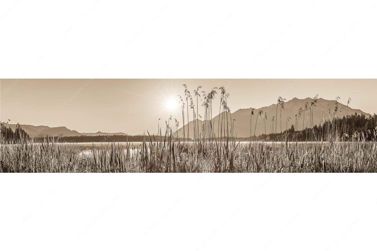 Sonnenaufgang am Barmsee - Schilfufer - Seitenverhältnis 4:1 - Barmseeufer mit Soierngebirge - weitere Infos unter https://www.kriner-weiermann.de