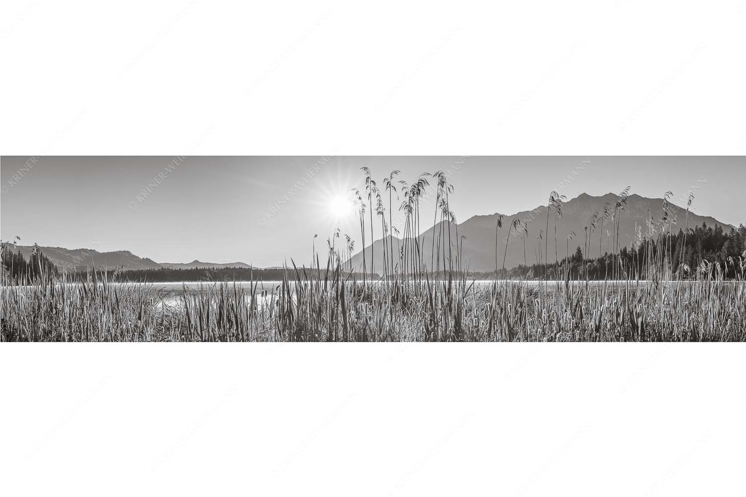 Sonnenaufgang am Barmsee - Schilfufer - Seitenverhältnis 4:1 - Barmseeufer mit Soierngebirge - weitere Infos unter https://www.kriner-weiermann.de