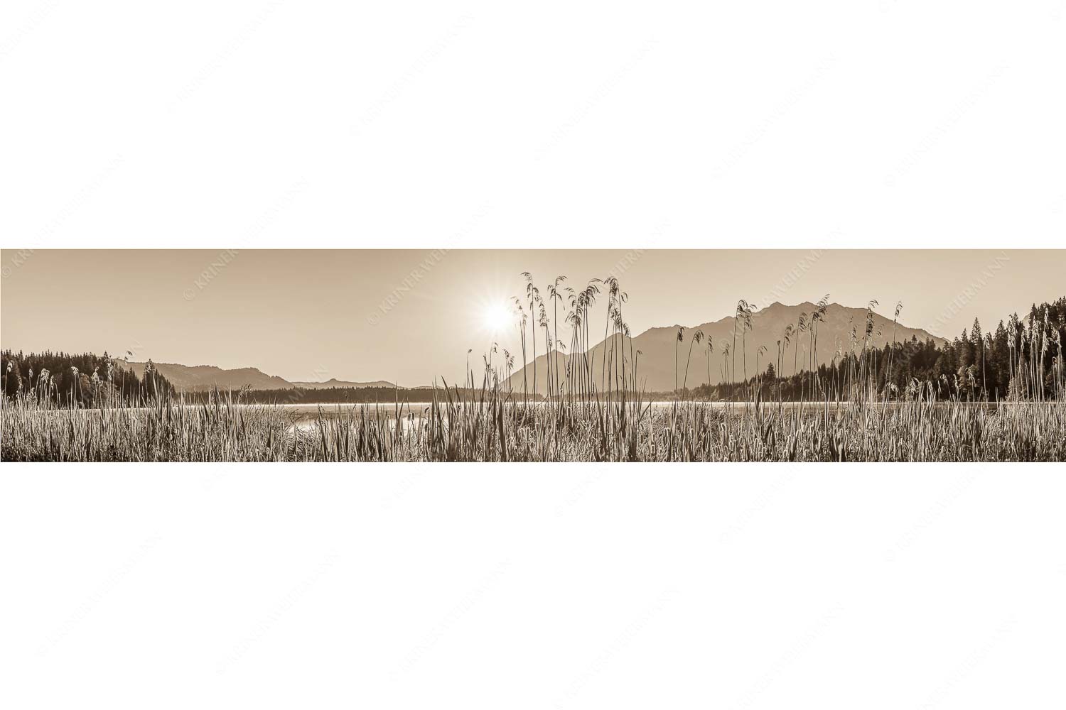 Sonnenaufgang am Barmsee - Schilfufer - Seitenverhältnis 5:1 - Barmseeufer mit Soierngebirge - weitere Infos unter https://www.kriner-weiermann.de