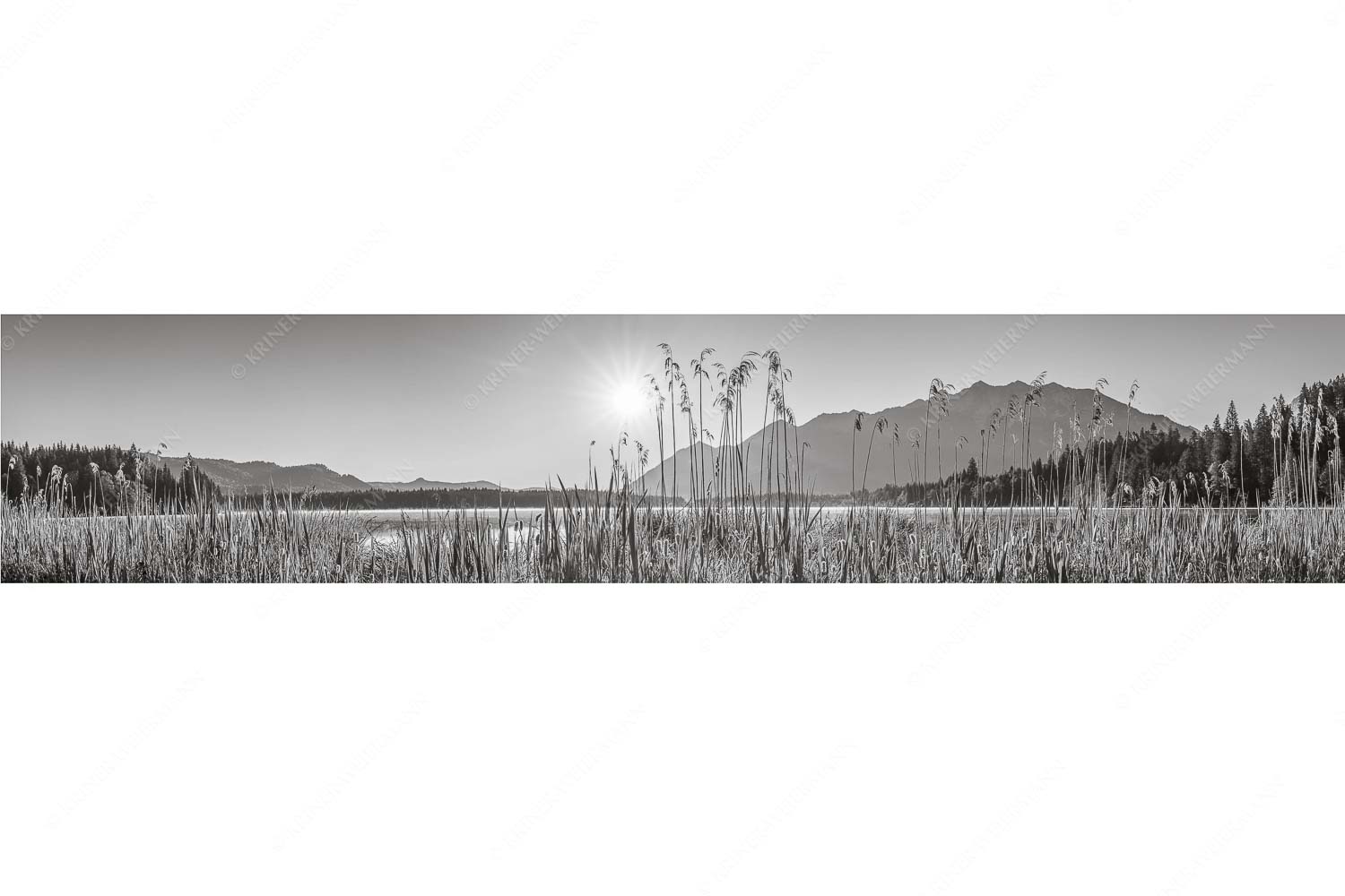 Sonnenaufgang am Barmsee - Schilfufer - Seitenverhältnis 5:1 - Barmseeufer mit Soierngebirge - weitere Infos unter https://www.kriner-weiermann.de