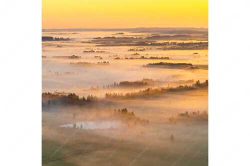 Nebelstimmung im Kochlermoos - Schleiergewand - Seitenverhältnis 1:1 - Morgenstimmung bei Kochel - weitere Infos unter https://www.kriner-weiermann.de