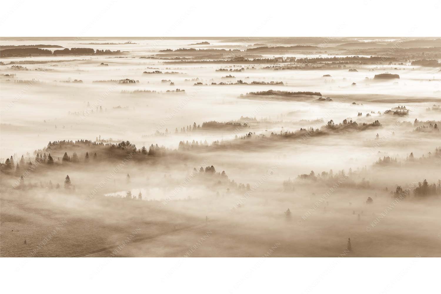 Nebelstimmung im Kochlermoos