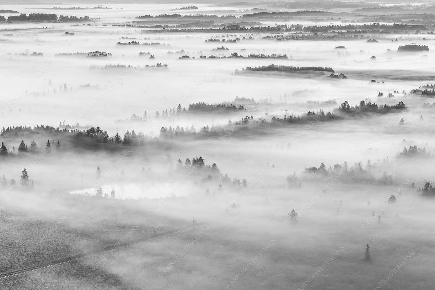 Nebelstimmung im Kochlermoos