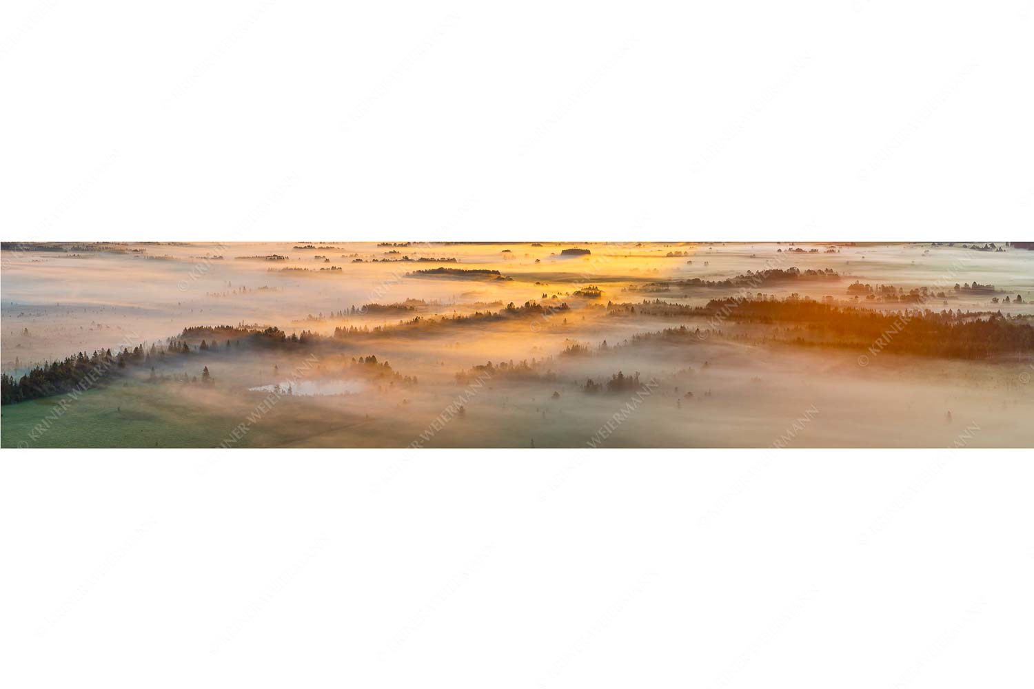 Nebelstimmung im Kochlermoos