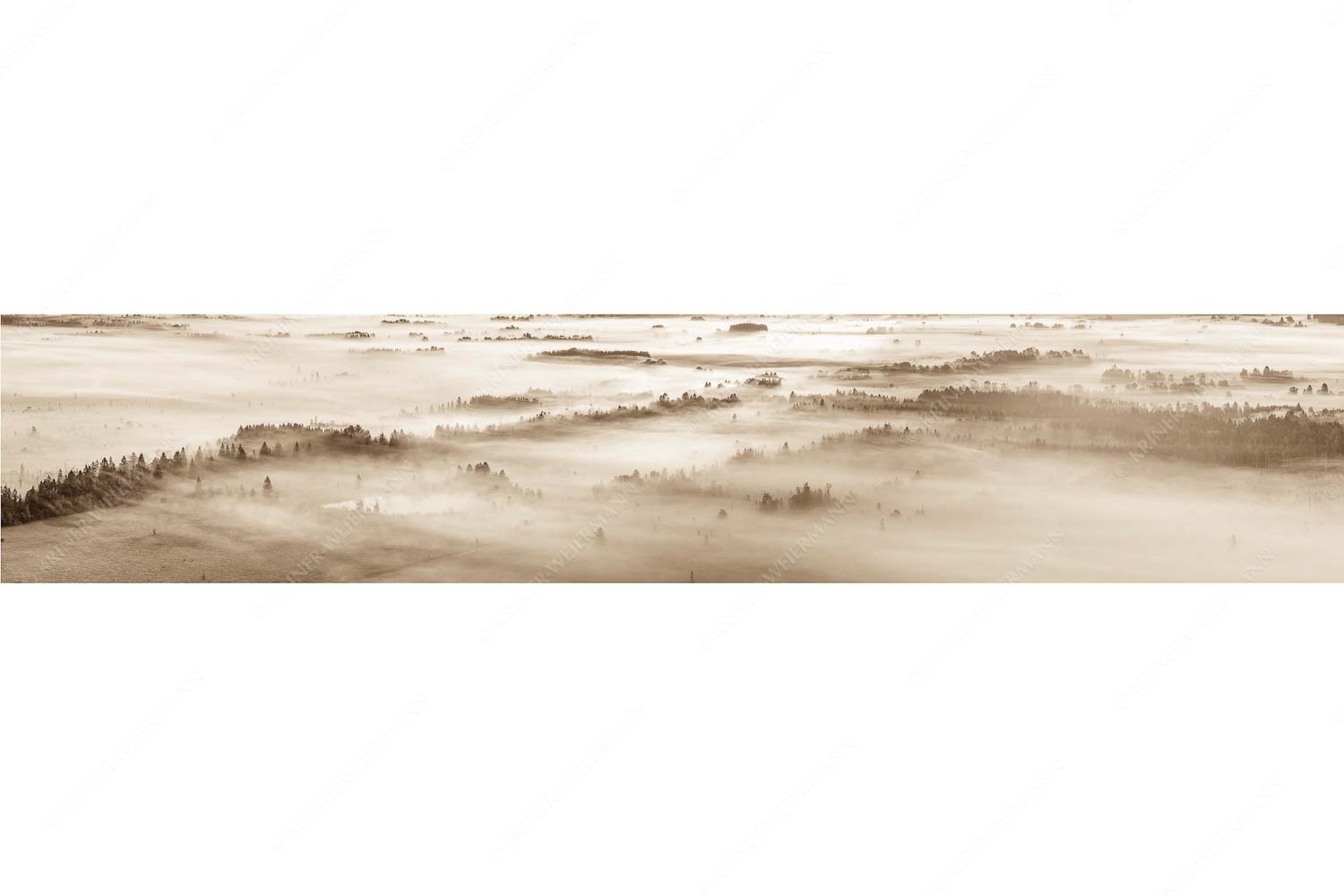 Nebelstimmung im Kochlermoos