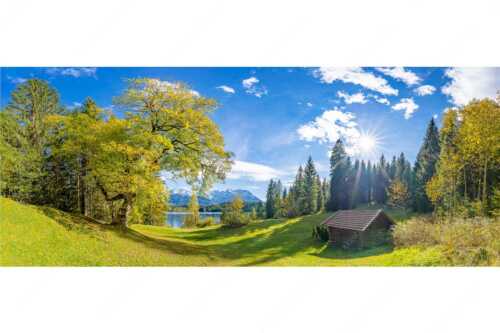 Alter Ahorn am Barmsee - Schönste Plätze - Seitenverhältnis 2,5:1 - Heustadel am Barmsee mit Karwendel - weitere Infos unter https://www.kriner-weiermann.de