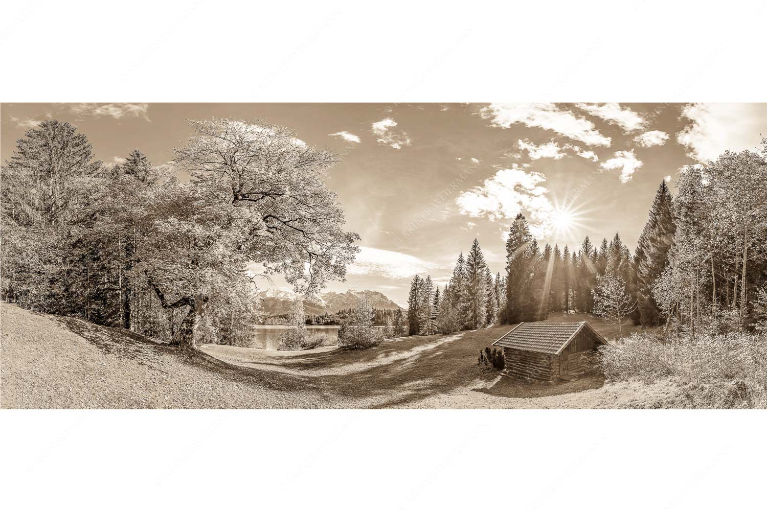 Alter Ahorn am Barmsee - Schönste Plätze - Seitenverhältnis 2,5:1 - Heustadel am Barmsee mit Karwendel - weitere Infos unter https://www.kriner-weiermann.de