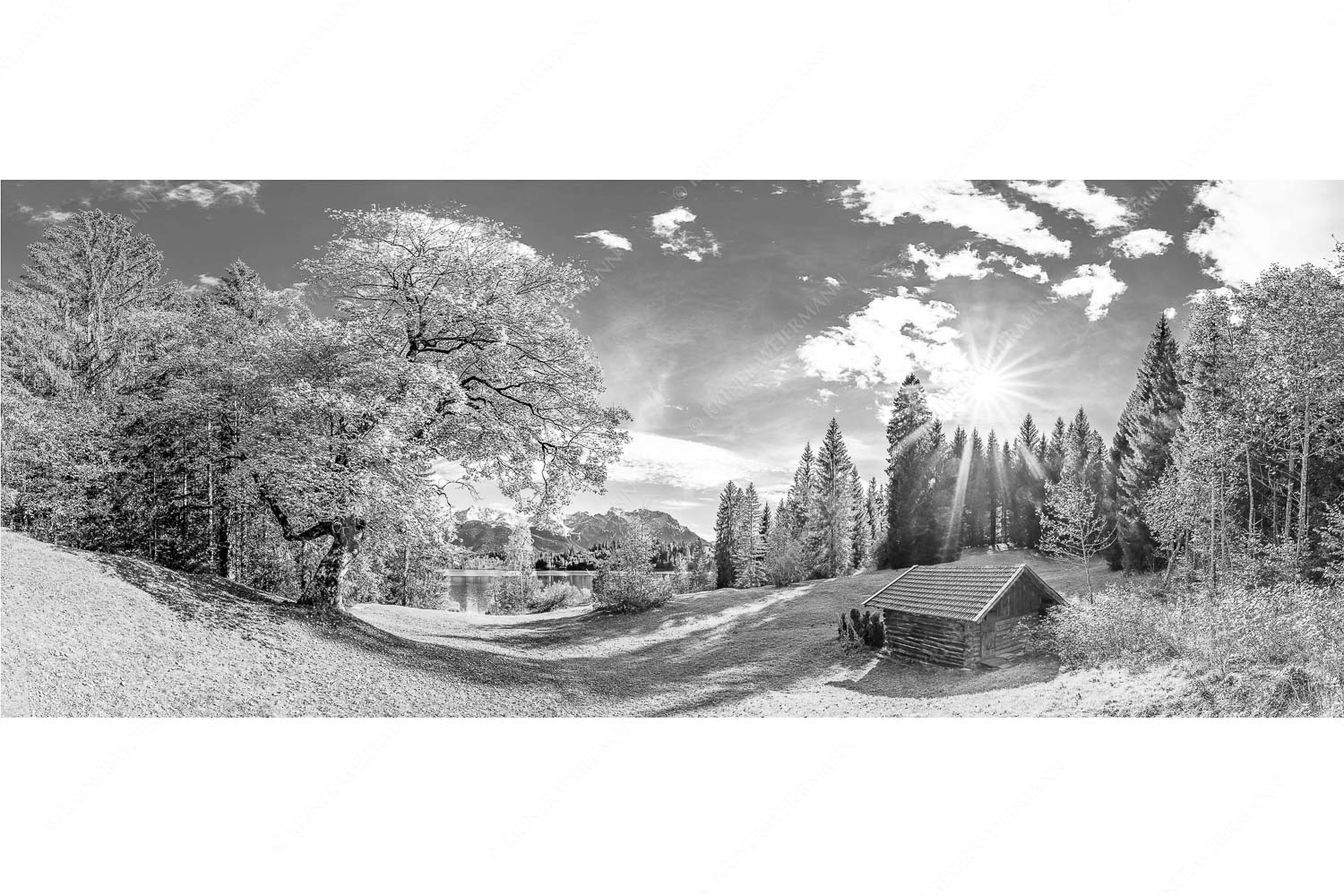 Alter Ahorn am Barmsee - Schönste Plätze - Seitenverhältnis 2,5:1 - Heustadel am Barmsee mit Karwendel - weitere Infos unter https://www.kriner-weiermann.de