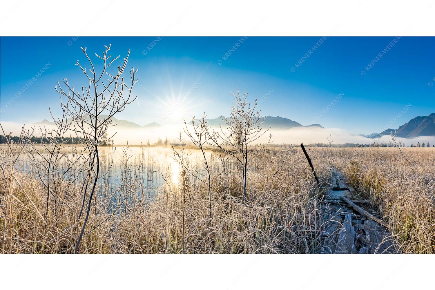 Die Nebel lichten sich im Murnauer Moos - Schwieriger Pfad - Seitenverhältnis 2:1 - Frost am Krebssee - weitere Infos unter https://www.kriner-weiermann.de