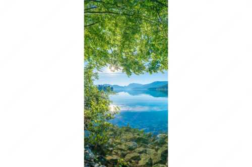 Blick unter einer Buche raus in den Sonnenaufgang am Walchensee - Seebuchen - Seitenverhältnis 1:2 - Walchensee - weitere Infos unter https://www.kriner-weiermann.de