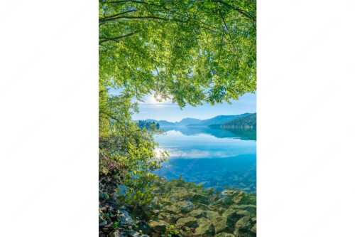 Blick unter einer Buche raus in den Sonnenaufgang am Walchensee - Seebuchen - Seitenverhältnis 2:3 - Walchensee - weitere Infos unter https://www.kriner-weiermann.de