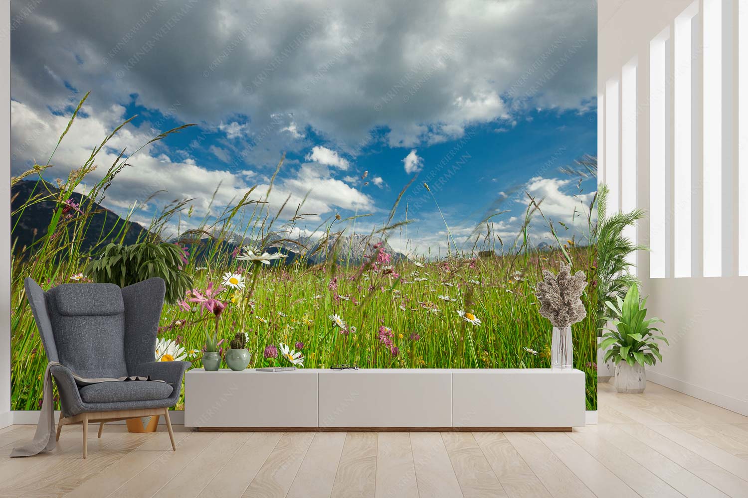 Die Hochstraße zwischen Krün und Mittenwald ist durch ihre artenreichen Wiesen geprägt - Sommer - Größe ca. 300x200cm, Seitenverhältnis 3:2 - Blumenwiese mit Karwendel - weitere Infos unter https://www.kriner-weiermann.de