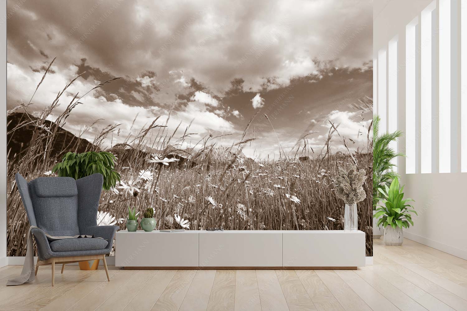 Sommer – Größe ca. 300x200cm, Seitenverhältnis 3:2 — Blumenwiese mit Karwendel Die Hochstraße zwischen Krün und Mittenwald ist durch ihre artenreichen Wiesen geprägt - Sommer - Größe ca. 300x200cm, Seitenverhältnis 3:2 - Blumenwiese mit Karwendel - weitere Infos unter https://www.kriner-weiermann.de