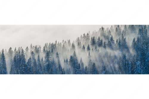 Das flach hereinfallende Licht wirft zauberhafte Schatten in die Baumspitzen - Spitzen - Seitenverhältnis 3:1 - Nebelstimmung im Wald - weitere Infos unter https://www.kriner-weiermann.de