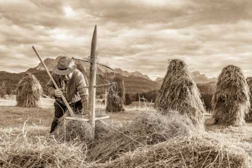 Traditionelle Heuarbeit im Werdenfelser Land - Stankern - Seitenverhältnis 3:2 - Wiesmahd Heustanker - weitere Infos unter https://www.kriner-weiermann.de