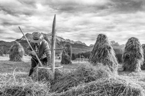 Traditionelle Heuarbeit im Werdenfelser Land - Stankern - Seitenverhältnis 3:2 - Wiesmahd Heustanker - weitere Infos unter https://www.kriner-weiermann.de