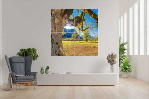 Großer Ahornboden im Karwendelgebirge - Stille Zeugen - 4er Split, Größe ca. 180x180cm, Seitenverhältnis 1:1 - Großer Ahornboden Eng - weitere Infos unter https://www.kriner-weiermann.de