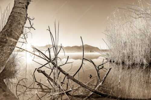 Idylische Ruhe am See - Stiller Morgen am See - Seitenverhältnis 3:2 - Sonnenaufgang am Eichsee - weitere Infos unter https://www.kriner-weiermann.de