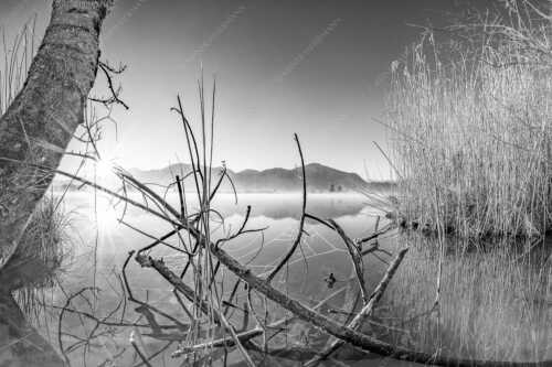 Idylische Ruhe am See - Stiller Morgen am See - Seitenverhältnis 3:2 - Sonnenaufgang am Eichsee - weitere Infos unter https://www.kriner-weiermann.de