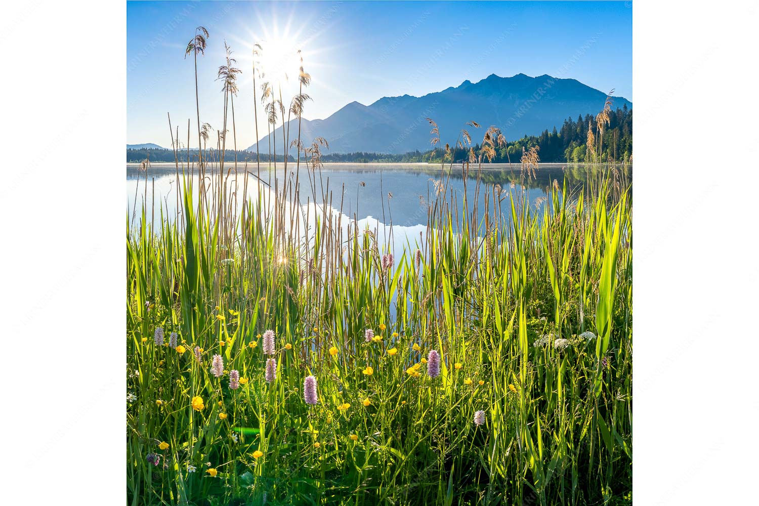 Blick übern Barmsee zum Soierngebirge