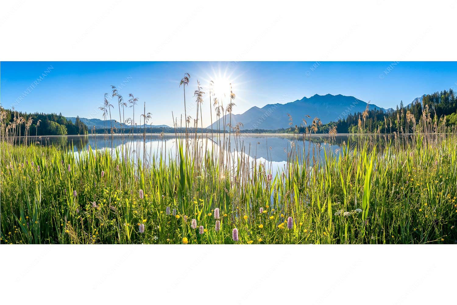 Blick übern Barmsee zum Soierngebirge - Strahlkraft - Seitenverhältnis 2,5:1 - Barmseeufer mit Soierngebirge - weitere Infos unter https://www.kriner-weiermann.de