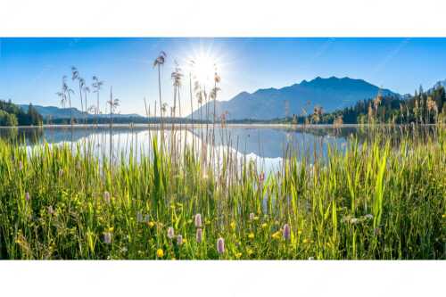 Blick übern Barmsee zum Soierngebirge - Strahlkraft - Seitenverhältnis 2:1 - Barmseeufer mit Soierngebirge - weitere Infos unter https://www.kriner-weiermann.de