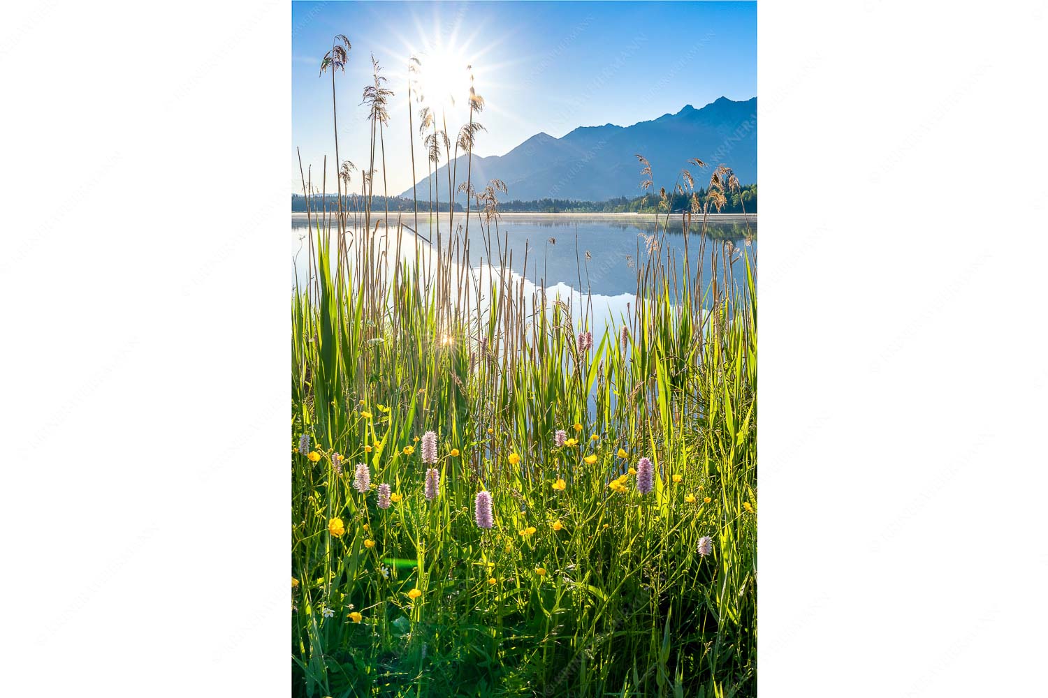 Blick übern Barmsee zum Soierngebirge