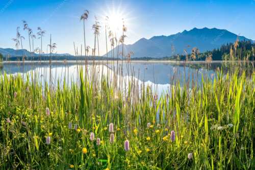 Blick übern Barmsee zum Soierngebirge - Strahlkraft - Seitenverhältnis 3:2 - Barmseeufer mit Soierngebirge - weitere Infos unter https://www.kriner-weiermann.de