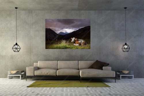 Jungvieh vor der Weilheimer Hütte im Estergebirge mit aufziehendem Gewitter - Unerschrocken - Größe ca. 180x120cm, Seitenverhältnis 3:2 - Blitz mit Almvieh - weitere Infos unter https://www.kriner-weiermann.de