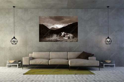 Jungvieh vor der Weilheimer Hütte im Estergebirge mit aufziehendem Gewitter - Unerschrocken - Größe ca. 180x120cm, Seitenverhältnis 3:2 - Blitz mit Almvieh - weitere Infos unter https://www.kriner-weiermann.de