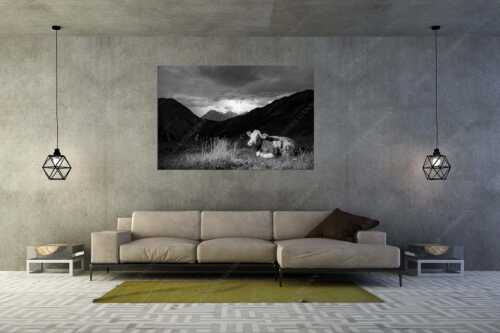 Jungvieh vor der Weilheimer Hütte im Estergebirge mit aufziehendem Gewitter - Unerschrocken - Größe ca. 180x120cm, Seitenverhältnis 3:2 - Blitz mit Almvieh - weitere Infos unter https://www.kriner-weiermann.de