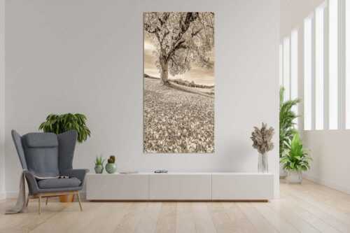 Bergahorn mit BNlick zum Zugspitzmassiv - Untern Ahorn durch - Größe ca. 90x180cm, Seitenverhältnis 1:2 - Alpspitze Zugspitze und Waxenstein - weitere Infos unter https://www.kriner-weiermann.de