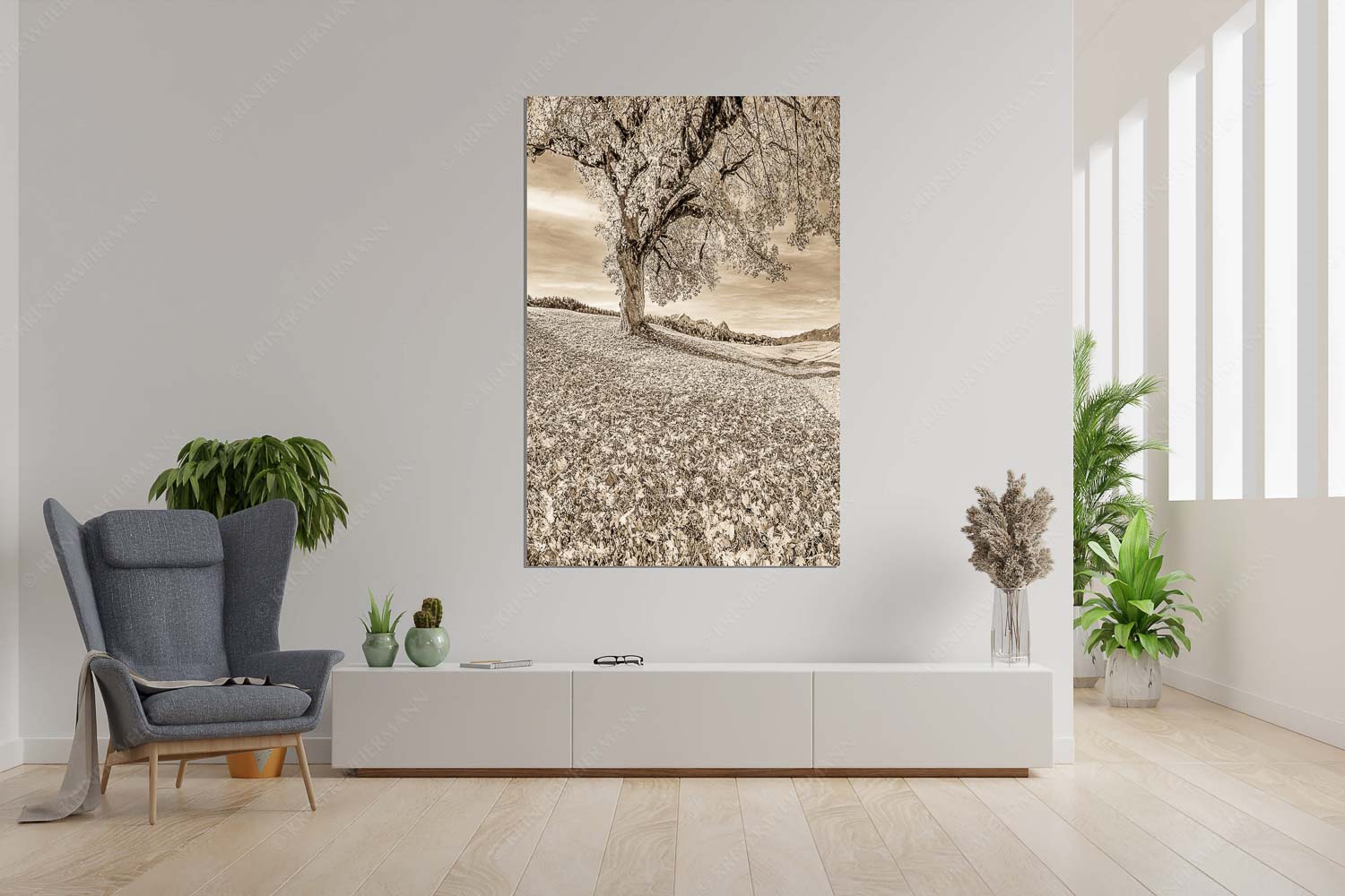 Untern Ahorn durch – Größe ca. 120x180cm, Seitenverhältnis 2: — Alpspitze Zugspitze und Waxenstein Bergahorn mit BNlick zum Zugspitzmassiv - Untern Ahorn durch - Größe ca. 120x180cm, Seitenverhältnis 2: - Alpspitze Zugspitze und Waxenstein - weitere Infos unter https://www.kriner-weiermann.de