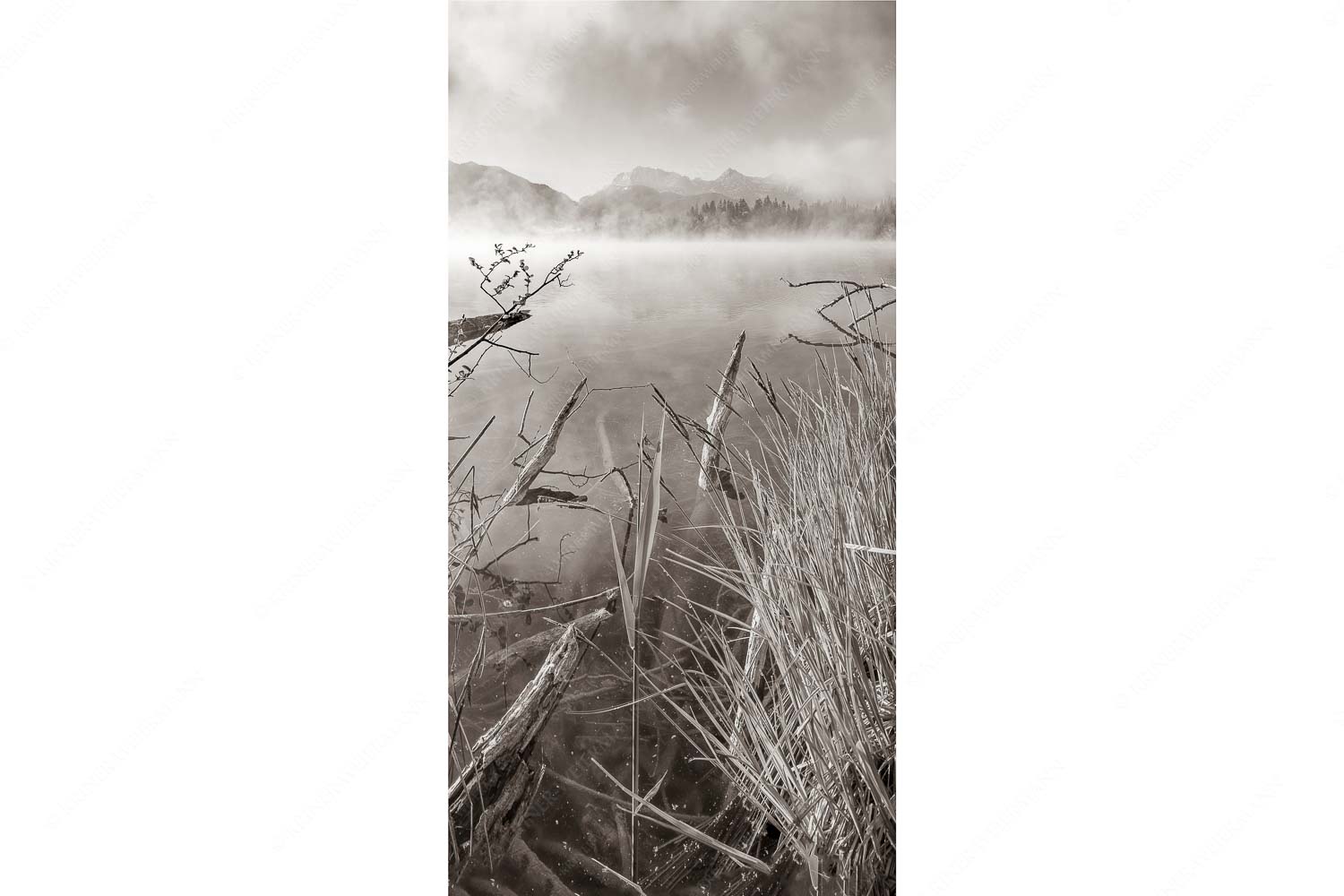 Wildes Ufer – Seitenverhältnis 1:2 — Nebel am Barmsee mit Karwendel Blick über Barmsee zum Karwendelgebirge