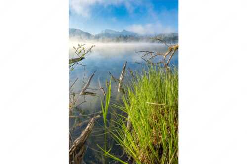 Blick über Barmsee zum Karwendelgebirge - Wildes Ufer - Seitenverhältnis 2:3 - Nebel am Barmsee mit Karwendel - weitere Infos unter https://www.kriner-weiermann.de