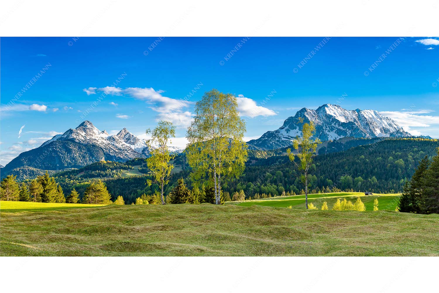 Wohlklang – Seitenverhältnis 2:1 — Arnspitzen und Wettersteinspitze Buckelwiesen bei Mittenwald mit Blick zum Wetterstein und den Arnspitzen