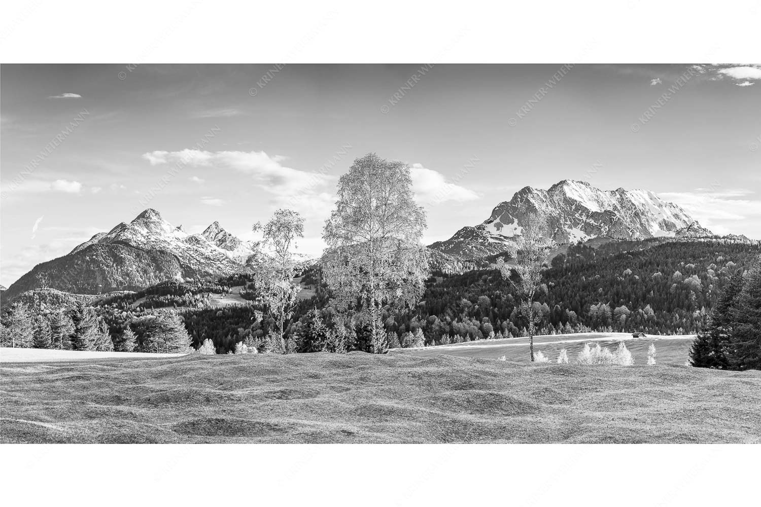 Wohlklang – Seitenverhältnis 2:1 — Arnspitzen und Wettersteinspitze Buckelwiesen bei Mittenwald mit Blick zum Wetterstein und den Arnspitzen