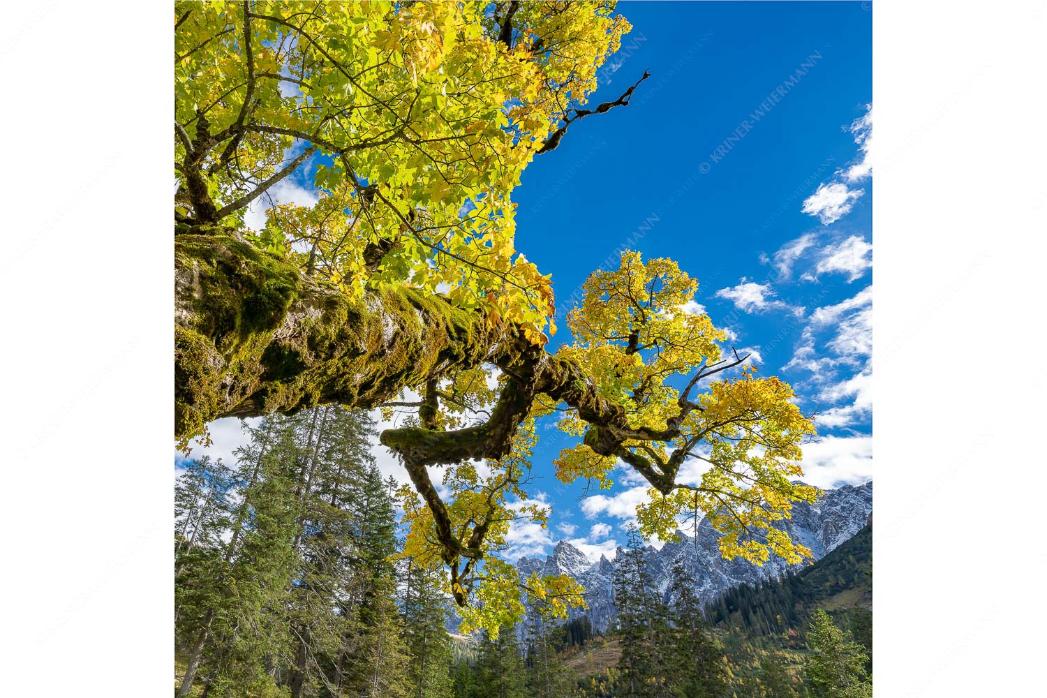 Kleiner Ahornboden mit Lalidererwänden im Karwendelgebirge