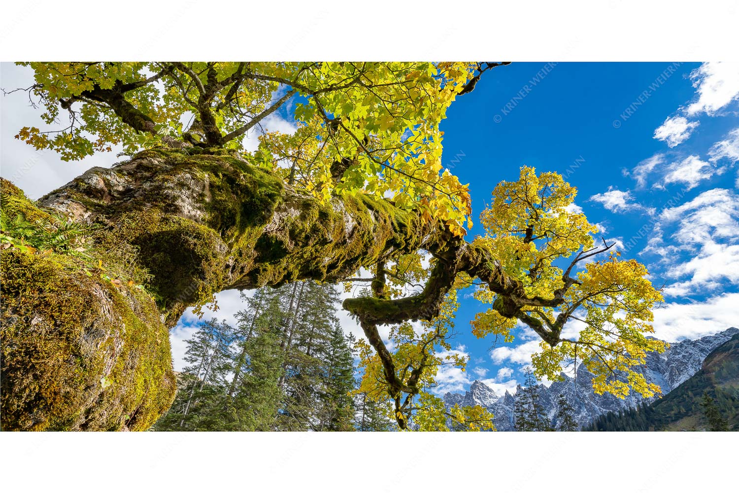 Kleiner Ahornboden mit Lalidererwänden im Karwendelgebirge