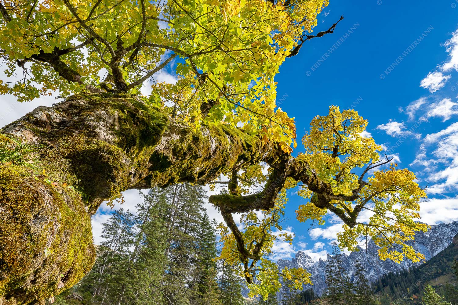 Kleiner Ahornboden mit Lalidererwänden im Karwendelgebirge