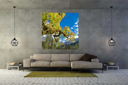 Kleiner Ahornboden mit Lalidererwänden im Karwendelgebirge - Wuchtig - Größe ca. 160x160cm, Seitenverhältnis 1:1 - Ahornbau im Karwendel - weitere Infos unter https://www.kriner-weiermann.de